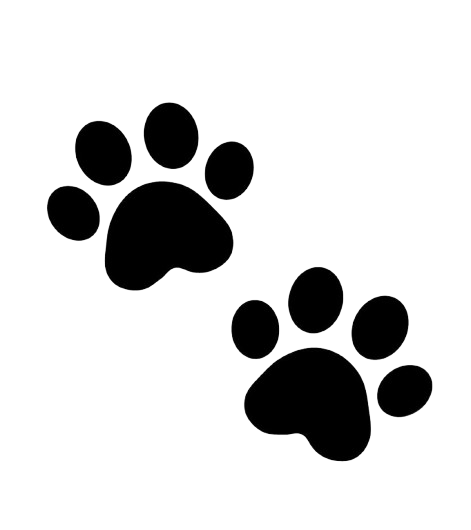 Paws Parents Logo